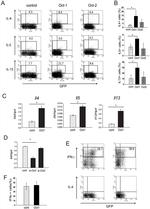 IL-13 Antibody in Flow Cytometry (Flow)