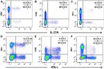 IL-17A Antibody in Flow Cytometry (Flow)