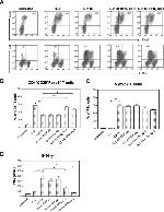 IFN gamma Antibody in Flow Cytometry (Flow)