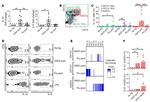 IL-6 Antibody in Flow Cytometry (Flow)