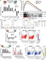 SSEA1 Antibody in Flow Cytometry (Flow)