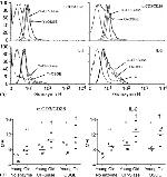 Granzyme B Antibody in Flow Cytometry (Flow)