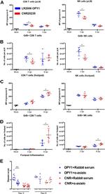 Granzyme B Antibody in Flow Cytometry (Flow)