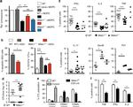 Perforin Antibody in Flow Cytometry (Flow)