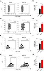 Granzyme B Antibody in Flow Cytometry (Flow)