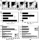 CD284 (TLR4) Antibody in Flow Cytometry (Flow)