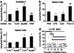 CD284 (TLR4) Antibody in Flow Cytometry (Flow)