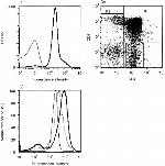 CD200 Antibody in Flow Cytometry (Flow)