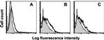 CD200 Antibody in Flow Cytometry (Flow)