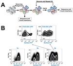 CD230 (PrP) Antibody in Flow Cytometry (Flow)