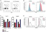 PLZF Antibody in Flow Cytometry (Flow)