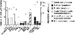 SOX11 Antibody in Flow Cytometry (Flow)