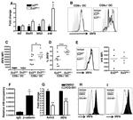 IRF8 Antibody in Flow Cytometry (Flow)