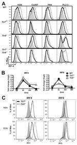 IRF4 Antibody in Flow Cytometry (Flow)