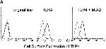 CD284 (TLR4) Antibody in Flow Cytometry (Flow)