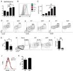 SAP (SLAM-Associated Protein) Antibody in Flow Cytometry (Flow)