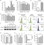 CD282 (TLR2) Antibody in Flow Cytometry (Flow)