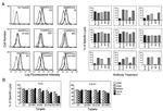 HLA-E Antibody in Flow Cytometry (Flow)