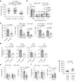 Gata-3 Antibody in Flow Cytometry (Flow)