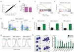 CD235a (Glycophorin A) Antibody in Flow Cytometry (Flow)