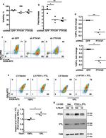 CD235a (Glycophorin A) Antibody in Flow Cytometry (Flow)