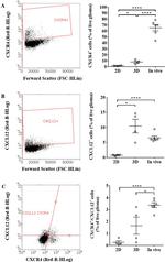 CD184 (CXCR4) Antibody in Flow Cytometry (Flow)