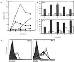 CD184 (CXCR4) Antibody in Flow Cytometry (Flow)