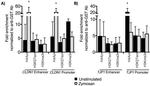 GST Tag Antibody in ChIP Assay (ChIP)