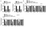 LPAR3 Antibody in Western Blot (WB)