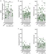 Synaptophysin Antibody in Immunocytochemistry (ICC/IF)