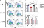 CD8 alpha Antibody in Flow Cytometry (Flow)