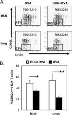 CD62L (L-Selectin) Antibody in Flow Cytometry (Flow)