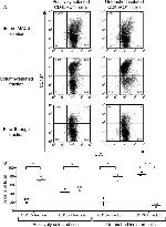 CD45RO Antibody in Flow Cytometry (Flow)