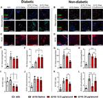 TNF alpha Antibody in Immunohistochemistry (IHC)