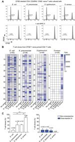 CD4 Antibody in Flow Cytometry (Flow)