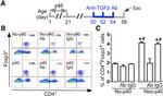 TGF beta-1,2,3 Antibody in Neutralization (Neu)