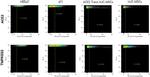 ACE2 Antibody in Flow Cytometry (Flow)