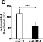 Rat IgG2b kappa Isotype Control in Inhibition Assays (IA)