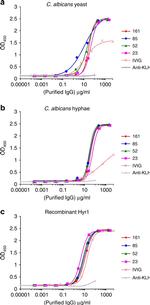 Human IgG Fc Cross-Adsorbed Secondary Antibody in ELISA (ELISA)