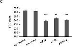 Rabbit IgG (H+L) Cross-Adsorbed Secondary Antibody in Flow Cytometry (Flow)