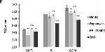 Rabbit IgG (H+L) Cross-Adsorbed Secondary Antibody in Flow Cytometry (Flow)