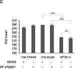 Rabbit IgG (H+L) Cross-Adsorbed Secondary Antibody in Flow Cytometry (Flow)