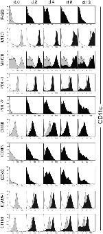 MHC Class I (H-2Kd/H-2Dd) Antibody in Flow Cytometry (Flow)