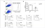 Phospho-p38 MAPK (Thr180, Tyr182) Antibody