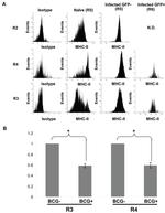 MHC Class II (I-A/I-E) Antibody in Flow Cytometry (Flow)