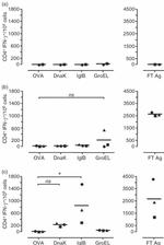 CD4 Antibody