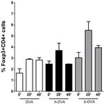 CD4 Antibody