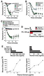 Complement C3a Antibody