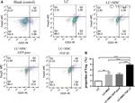 CD25 Antibody in Flow Cytometry (Flow)