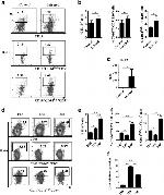 CD1d Antibody in Flow Cytometry (Flow)